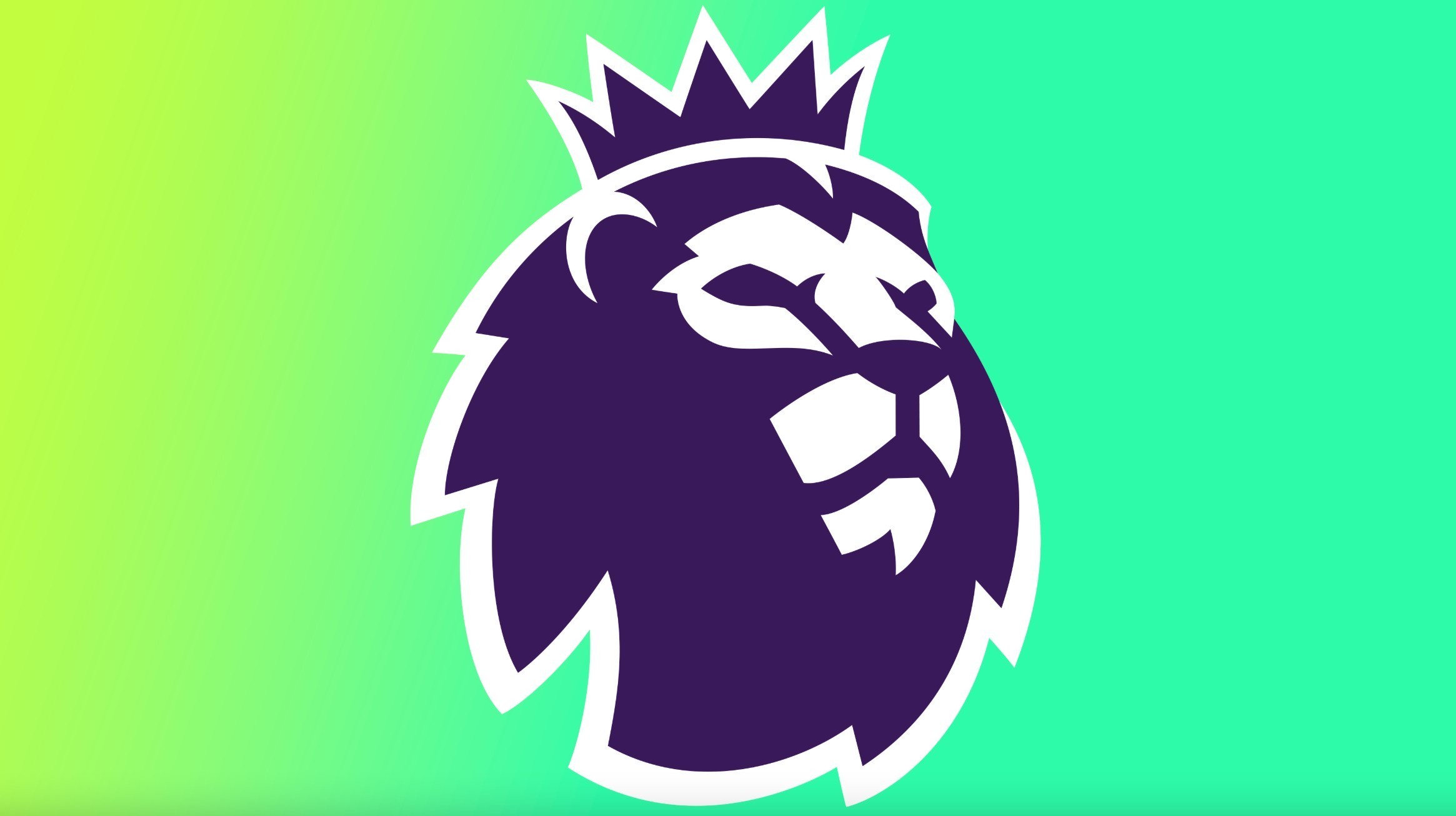 球迷的心 球迷的心