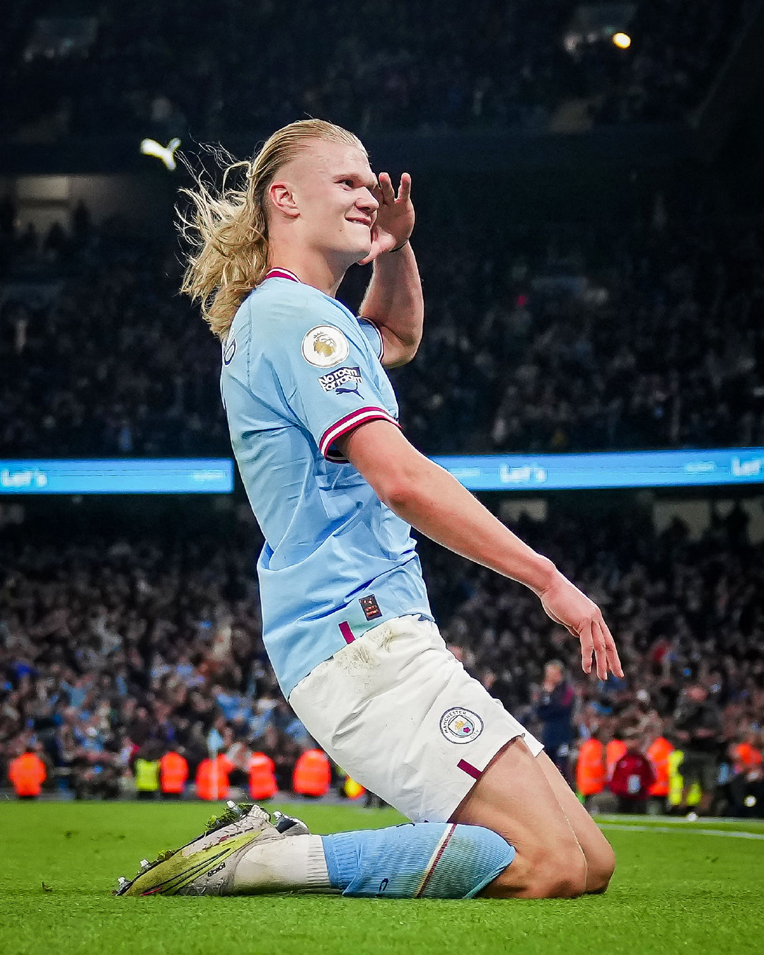 存活率双升 存活率双升